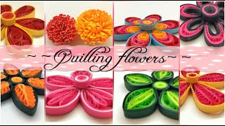 Types of Paper Quilling flowers  DIY paper quilling art [upl. by Anitsuga682]