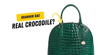 Real Crocodile Leather Brahmin Leather Bag Review [upl. by Kcirtapnhoj956]