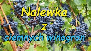 Nalewka z ciemnych winogron [upl. by Saxet380]