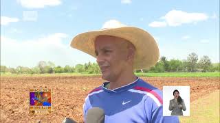 Cuba Incrementan área cultivable en Ciénaga de Zapata [upl. by Dorrie847]