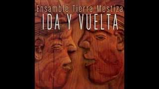 Arpatlán Gerardo Tamez Ensamble musical de tierra mestiza ida y vuelta [upl. by Litton]