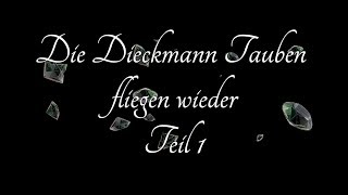 Die Dieckmann Tauben fliegen wieder  Teil1 [upl. by Zebe]