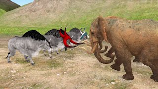 3 Elephants vs 4 Buffalos [upl. by Arak]