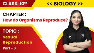 Class 10th Biology How Do Organisms Reproduce Part6 Sexual Reproduction Live 2023 [upl. by Anehta]