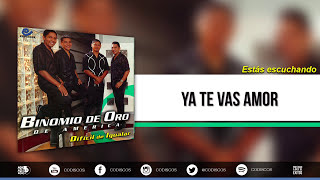 Ya Te Vas Amor Binomio De Oro De América  Audio [upl. by Oemor]