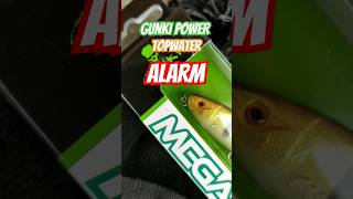 GUNKI POWER fishing gunki fish bassfishing catchandrelease happy topwater [upl. by Sukramal]