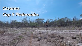 🇩🇴 Cesareo Capítulo 5 Pedernales Proyecto Provincias Rep Dominicana [upl. by Enirolf]