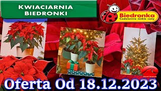 𝐁𝐈𝐄𝐃𝐑𝐎𝐍𝐊𝐀 🐞 Kwiaciarnia Biedronki Nowa Oferta Od 18122023  Kwiatowe Inspiracje Biedronki [upl. by Saeger325]