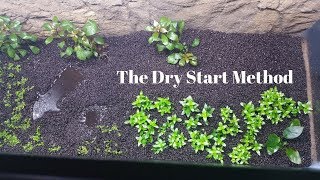 DRY START Nano Aquscape  UNBELIEVABLE PLANT GROWTH [upl. by Emmit450]