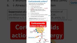 Corticosteroids actions in Allergy [upl. by Covell]