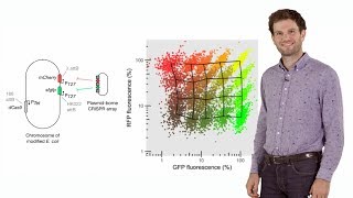 Synthetic Biology Engineering bacteria with CRISPR  David Bikard [upl. by Eniotna803]