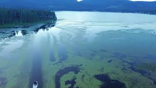 Drone Video Twin Lakes Inchelium Near Colville Wa Raptorpixcom [upl. by Maribelle]