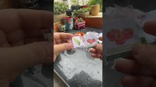 Vegetables seeds ka collection shortvideo garden reelinstagram gardening seeds [upl. by Nagud331]