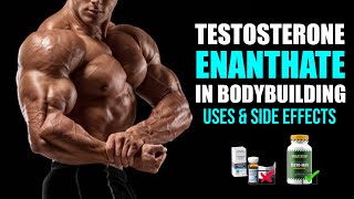 Testosterone Enanthate in Bodybuilding Uses and Side Effects [upl. by Moth]