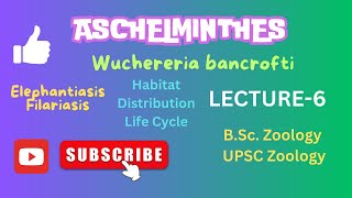 Wuchereria life cycle  Filariasis  Elephantiasis  Zoology  Notes in description [upl. by Juback151]