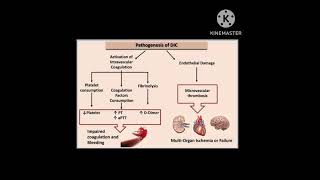 DissaminatedIntravascularCoagulopathy DIC notes CoagulationDisorder Haematology [upl. by Ynattirb]