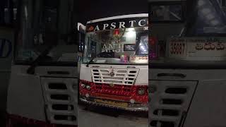 Machilipatnam To Tirupati Bus shorts bus buslover ytsorts [upl. by Messing]