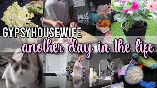 JUST ANOTHER DAYGYPSY WIFE LIFEDAY IN THE LIFE CLEANING GROCERIES  CHICKEN SALAD RECIPE [upl. by Gnoix]