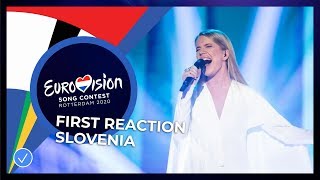 Ana Soklič will represent Slovenia in Rotterdam 🇸🇮 Eurovision Song Contest 2020 [upl. by Odilo]