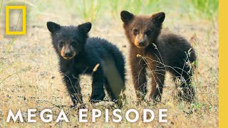 The Wonder of Americas National Parks  MEGA EPISODE Season 1 Full Episode [upl. by Doralia]