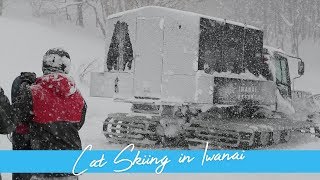 Cat Skiing in Iwanai Japan  MnK Niseko [upl. by Laurita235]