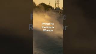 Primal Rc Raminator 8S Wheelie Monster [upl. by Llennej]