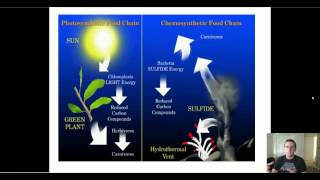 Types of Autotrophs [upl. by Hepsoj]