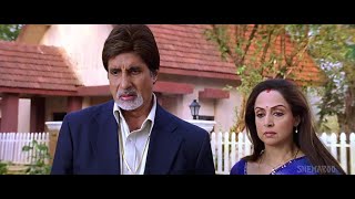 Baghban full movie 2003  AmitabhHemaSalmanAman  Baghban full movie in Hindi Review amp facts [upl. by Alia457]