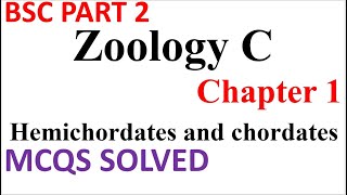 BSC Part 2  Zoology C  Ch 1  Hemichordates and chordates  Solved MCQs  PU Online MCQs [upl. by Barmen]