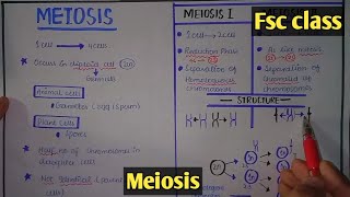 Meiosis  Cell Division  Class 12 Biology [upl. by Uon]