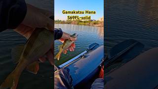 Окунь на Gamakatsu Hana S69FLsolid fishing рыбалка микроджиг gamakatsu [upl. by Nospmas]