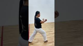 Poomsae 8 Practice poomsae [upl. by Anilegna]