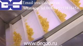 Corn flakes production line Installed in Russia from Jinan DG machinery [upl. by Sanderson]