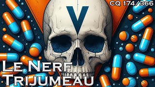 NC V  Le Nerf Trijumeau  CQ174 [upl. by Tilly951]