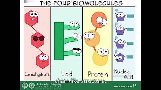 Biomolecules 1 [upl. by Daniell]