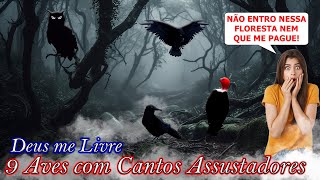 9 AVES COM CANTOS MUITO ASSUSTADORES [upl. by Pierro432]