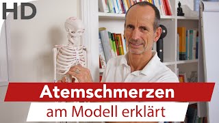 Atemschmerzen am Modell  Asthmaschmerzen Atmenprobleme Atmung Lungenschmerzen [upl. by Twila616]