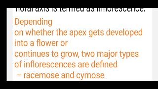 INFLORESCENCE amp ITS TYPES  NEET  11TH NCERT inflorescence NCERTATEASE [upl. by Nwad660]