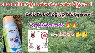 ceasemite insecticide uses in Telugu  ceasemite insecticide  erra nalli nivarana in mirchi  nalli [upl. by Thalia819]