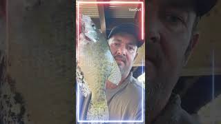 Daileys great outdoors fishing creekwater crappiefishing freshwaterfishing fish arkansas [upl. by Nance271]