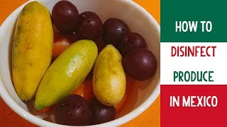 How to Disinfect Produce in Mexico Microdyn Fruit amp Vegetable Wash [upl. by Aschim]