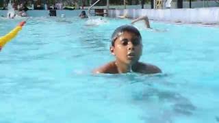 Best Swimming pool in chennaiDOLPHIN SWIMMING ACADEMY [upl. by Kier]