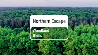 doTERRA Northern Escape Translated Subtitles [upl. by Silden757]