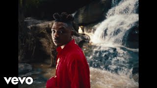 Mayorkun  Lowkey Official Music Video [upl. by Gildas]