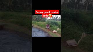 Funny prank kado snake cobra🤣 shorts prank funny funnyvideo funnyshorts [upl. by Eiger]