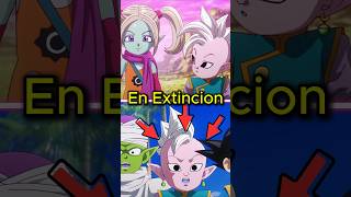 SHIN ES EL ULTIMO SUPREMO DEL UNIVERSO en Dragon Ball Daima [upl. by Sisenej]