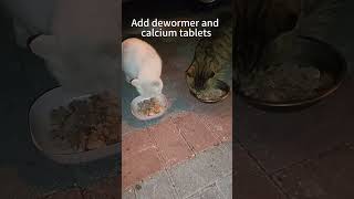 Deworming drugs and calcium tablets must be added to food so that cats will eat it straycatrescue [upl. by Demetri297]