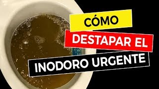 Cómo Destapar el Inodoro Urgente 🚽 [upl. by Norse]