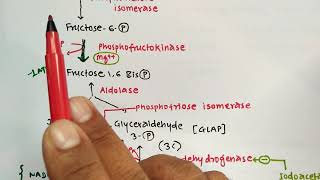 GLYCOLYSIS TRICKS  BIOCHEMISTRY  METABOLISM OF CARBOHYDRATES  PHARMACY EXAM  GPAT  NIPER  MBBS [upl. by Yro44]