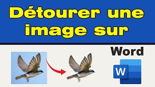 Comment détourer une image sur Word [upl. by Ibba]